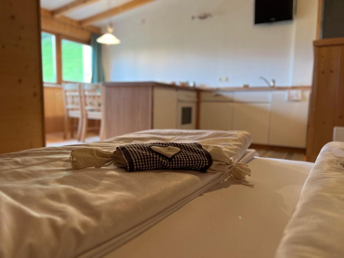 Apparthotel Bio Natur Refugium Blaslahof Santa Maddalena in Casies 外观 照片